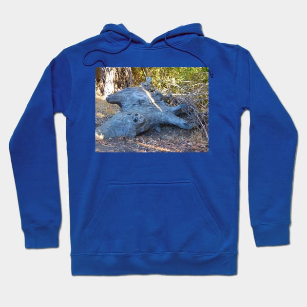 Perspective Hoodie by FriendlyComputerHelp